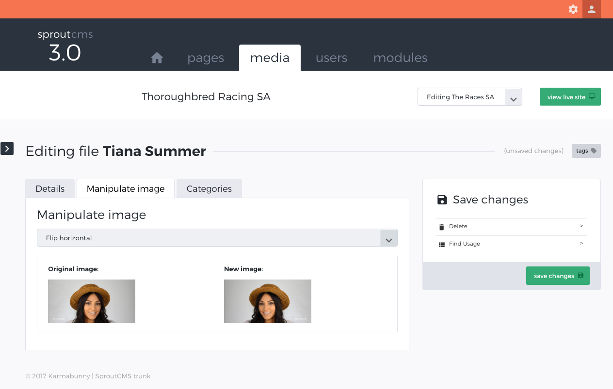 media repo - manipulate image Tiana Summer unsaved changes SproutCMS